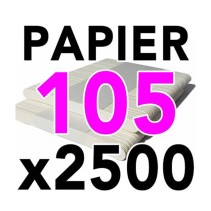 Spatules Papier 105 (x2500)