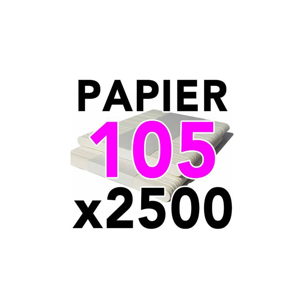 Spatules Papier 105 (x2500)